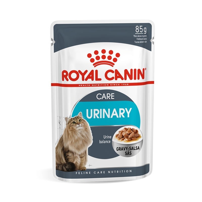 royal canin senior dog food wet