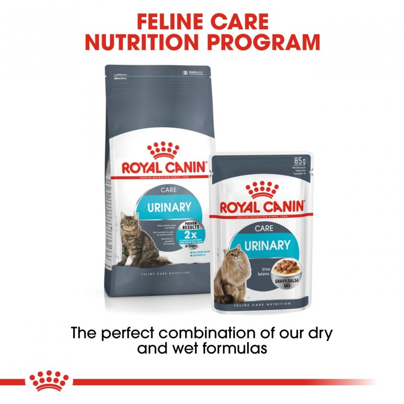 royal canin so wet food