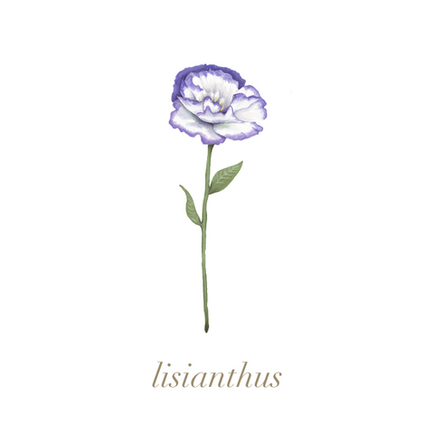 lisianthus