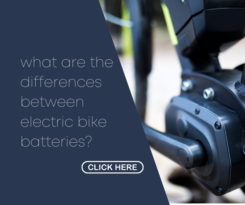 what are the differences between electric bike batteries