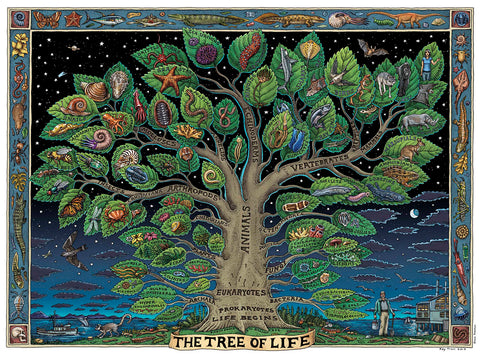 Ray Troll's Tree of Life for animals