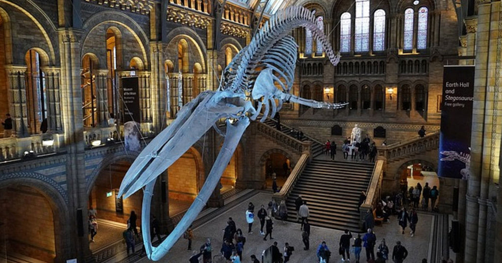 Museums and attractions set for a bumper season supported by kingfisher giftwear