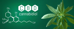 CBD formule Blog CBD en pharmacie