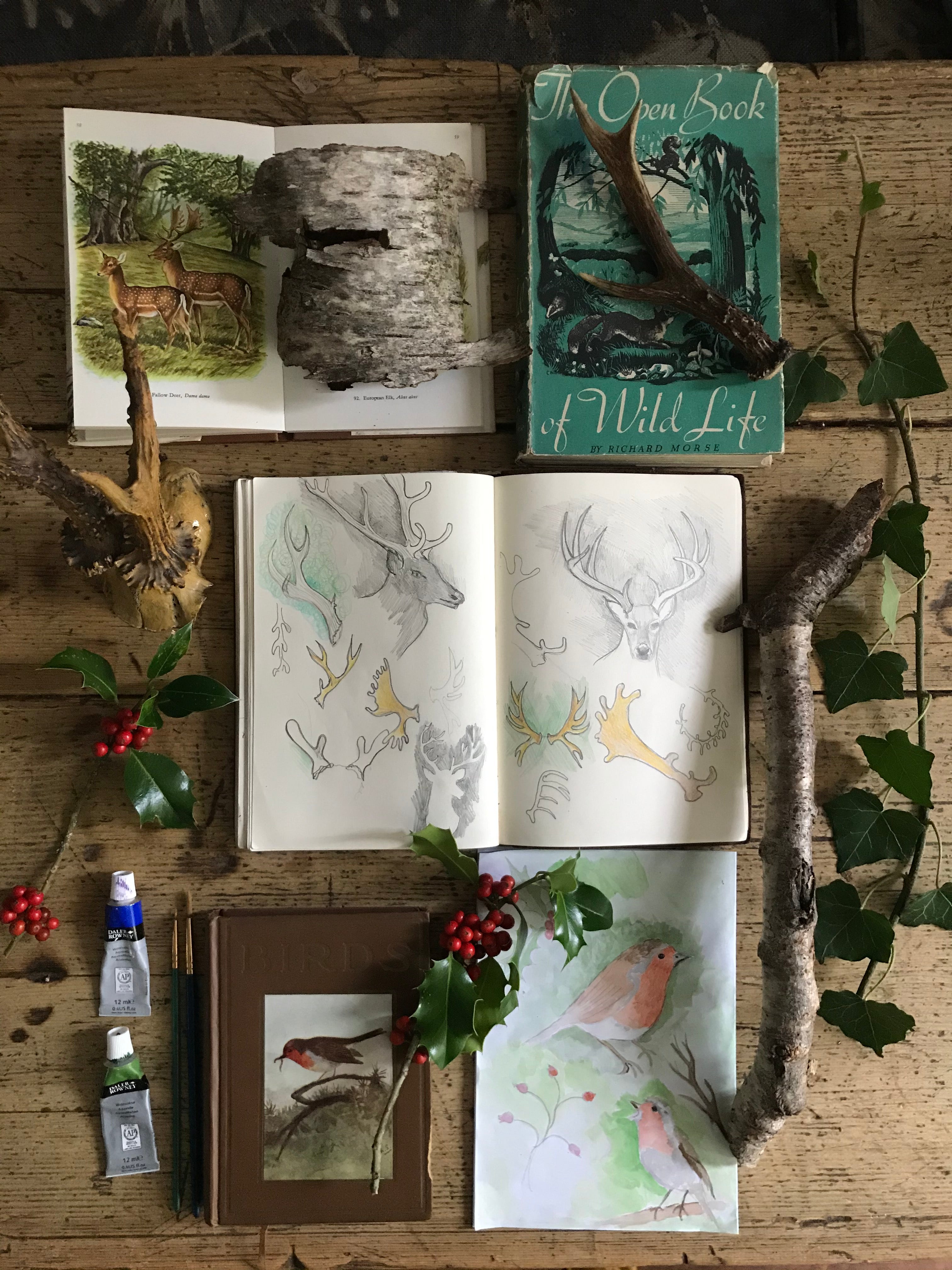 Catherine Hills Christmas window sketchbook