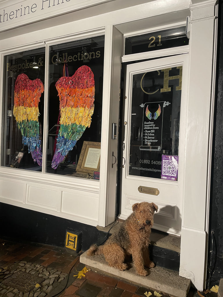 Tunbridge Wells Jewllery shop window