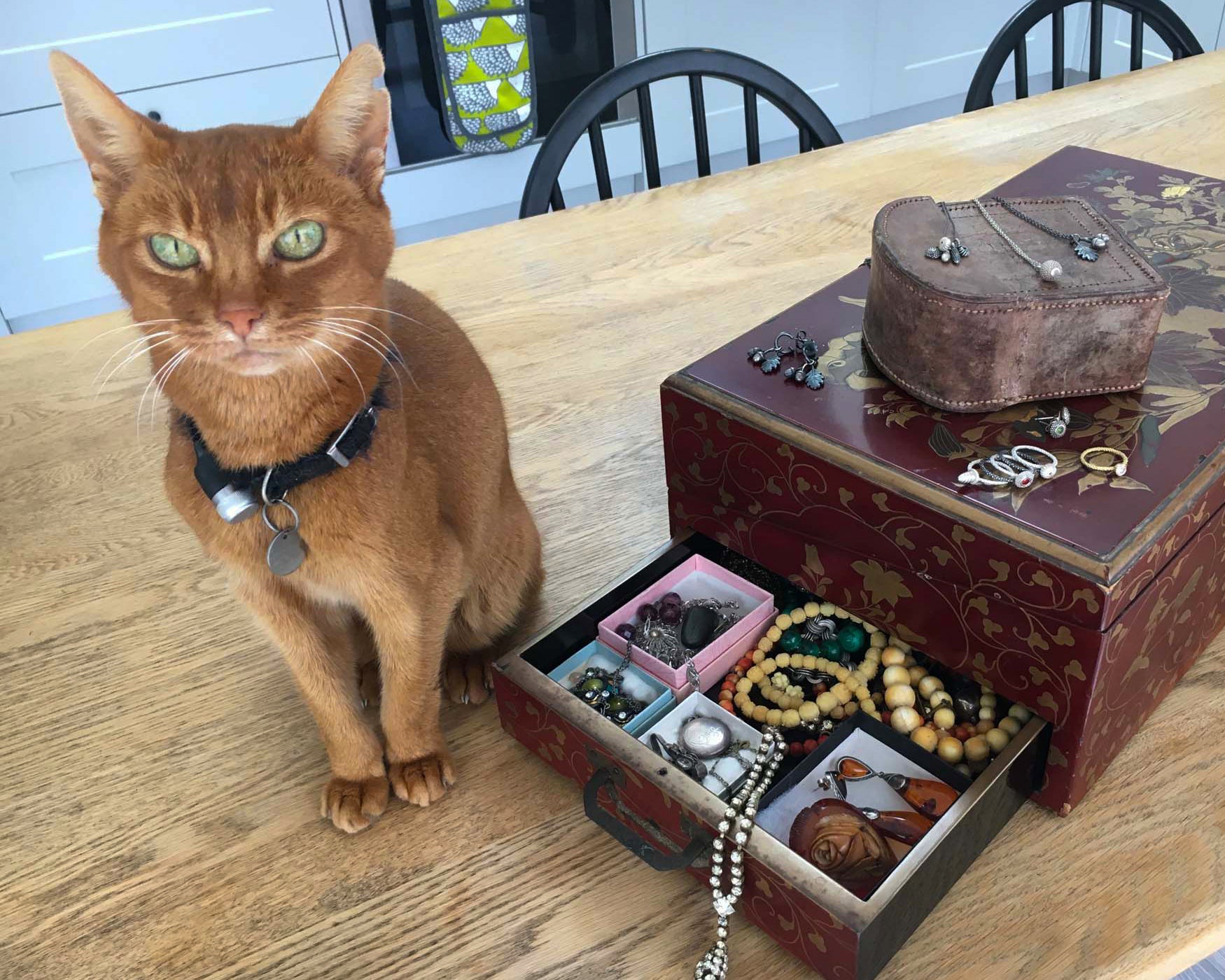 Orange cat and vintage laquer jewellery box