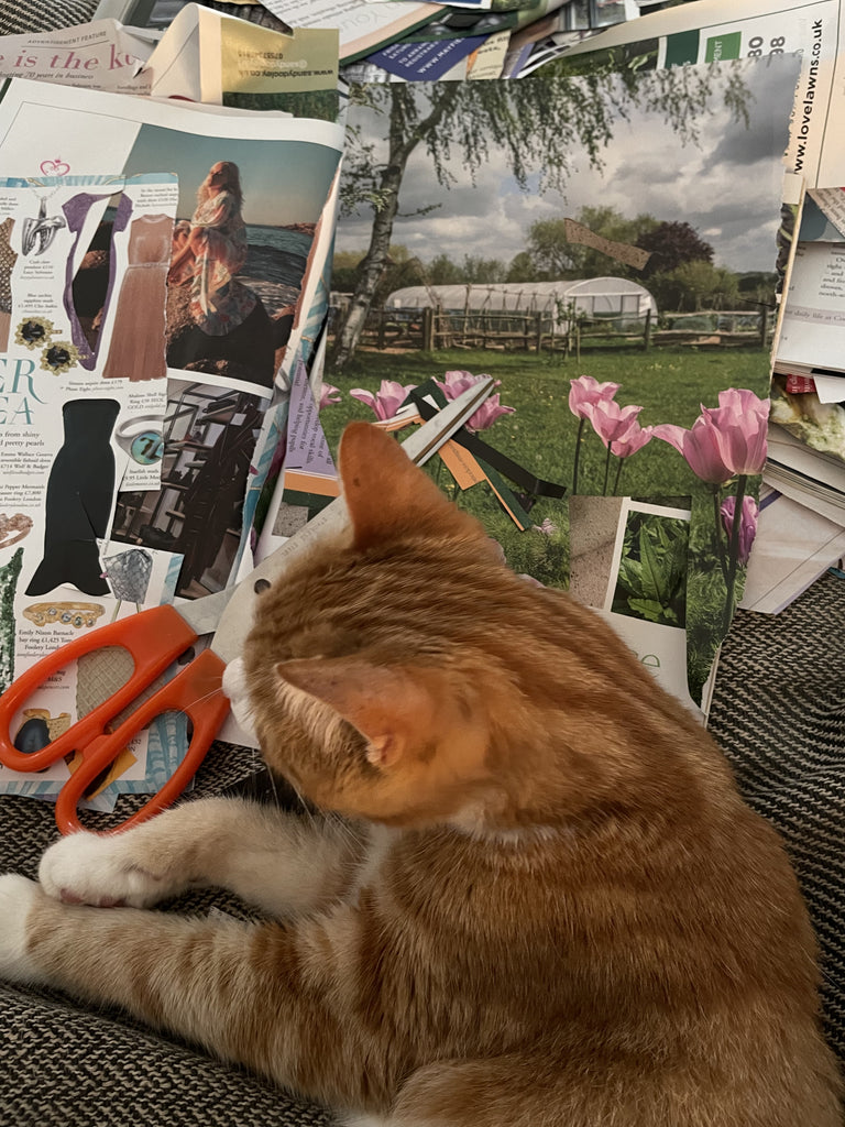 Cat Helping to Make Catherine Hills Jewellery Christmas window