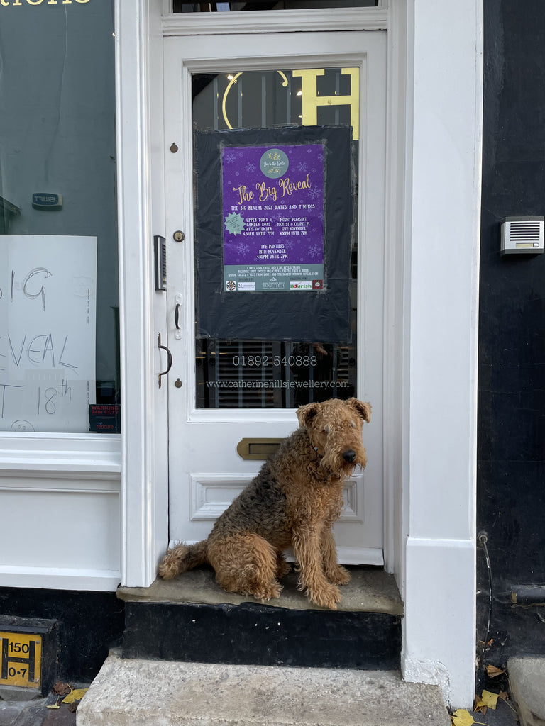 Rolo Airedale Terrier outside Catherine Hills Jewellery The Pantiles Tunbridge Wells