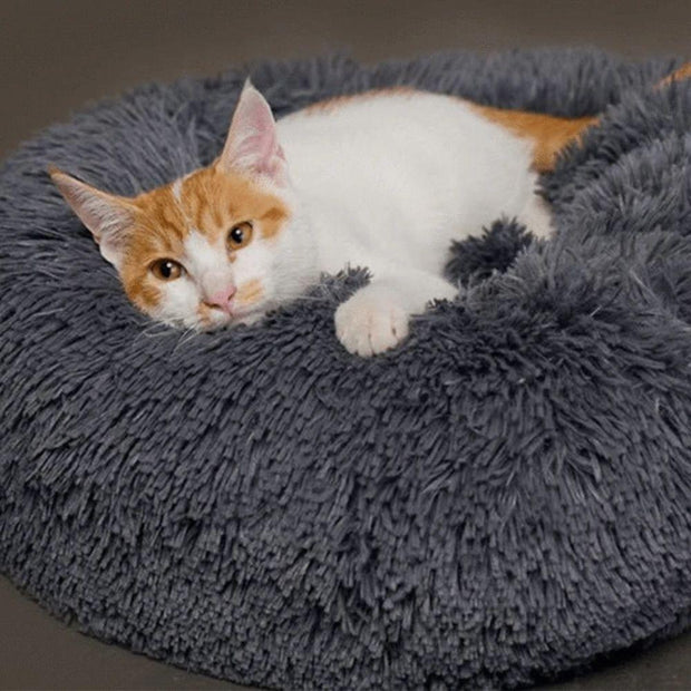 Coussin Pour Chien Et Chat Cutepuppy Cutepuppy