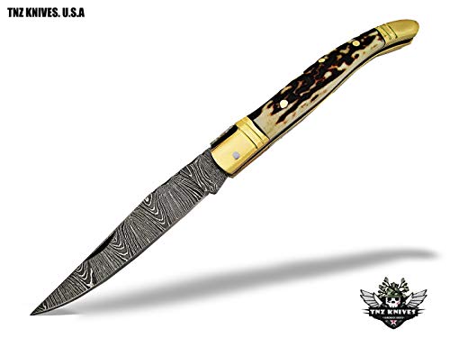 Bowie Knife Damascus Steel Knife Wood Handle DK-139 – The Bowie Knife