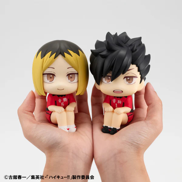 Kenma Kozume and Tetsuro Kuroo