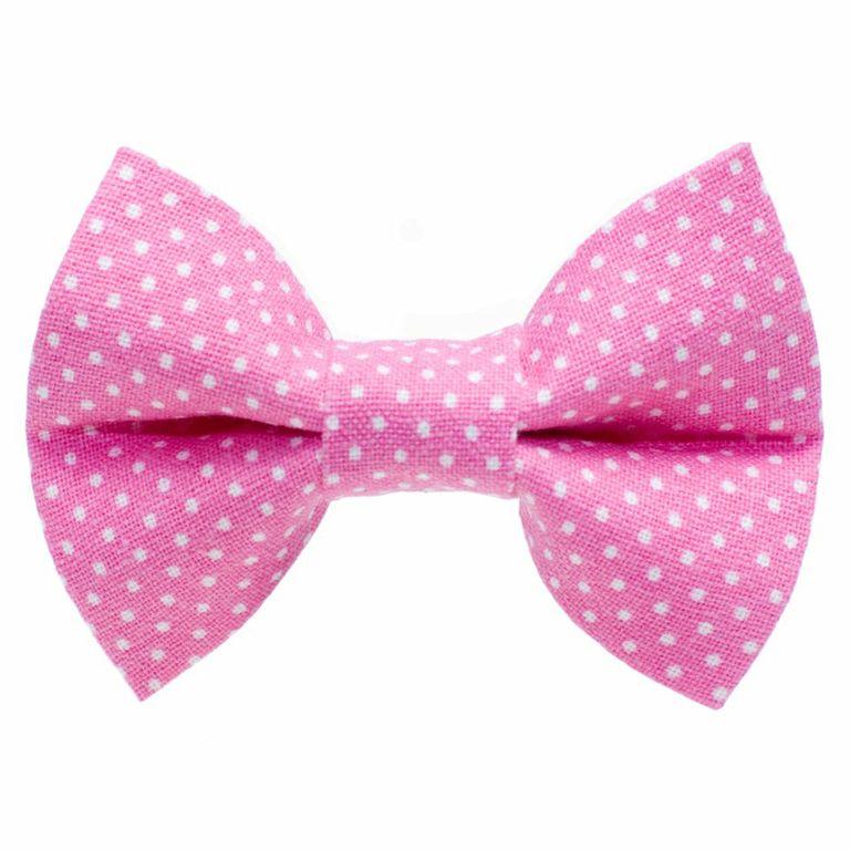 The Honey Bunny - Cat / Dog Bow Tie – Sweet Pickles Designs