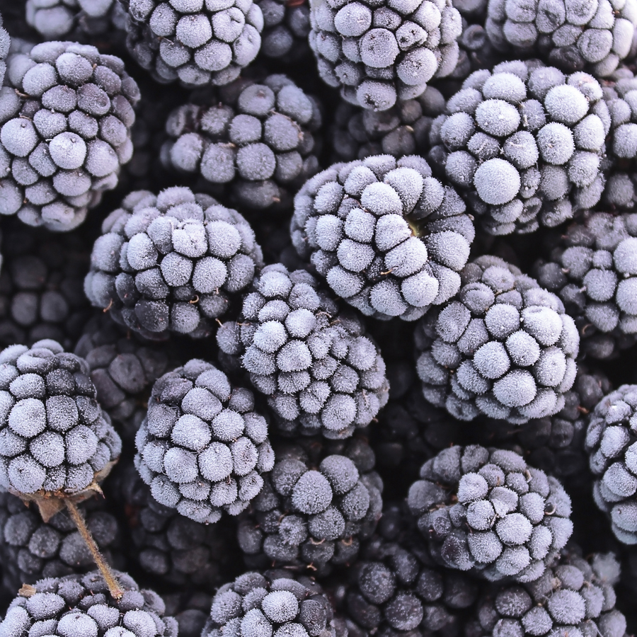 Frozen Blackberries (2.2Lb)