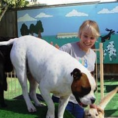 Black and white boxer dog with dog trainer