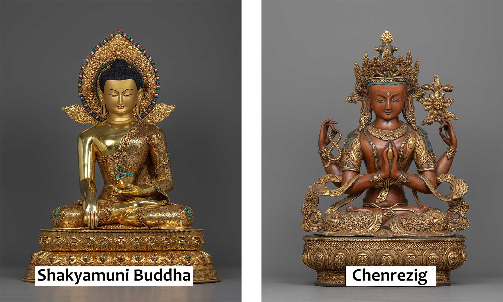 buddha vs bodhisattvas