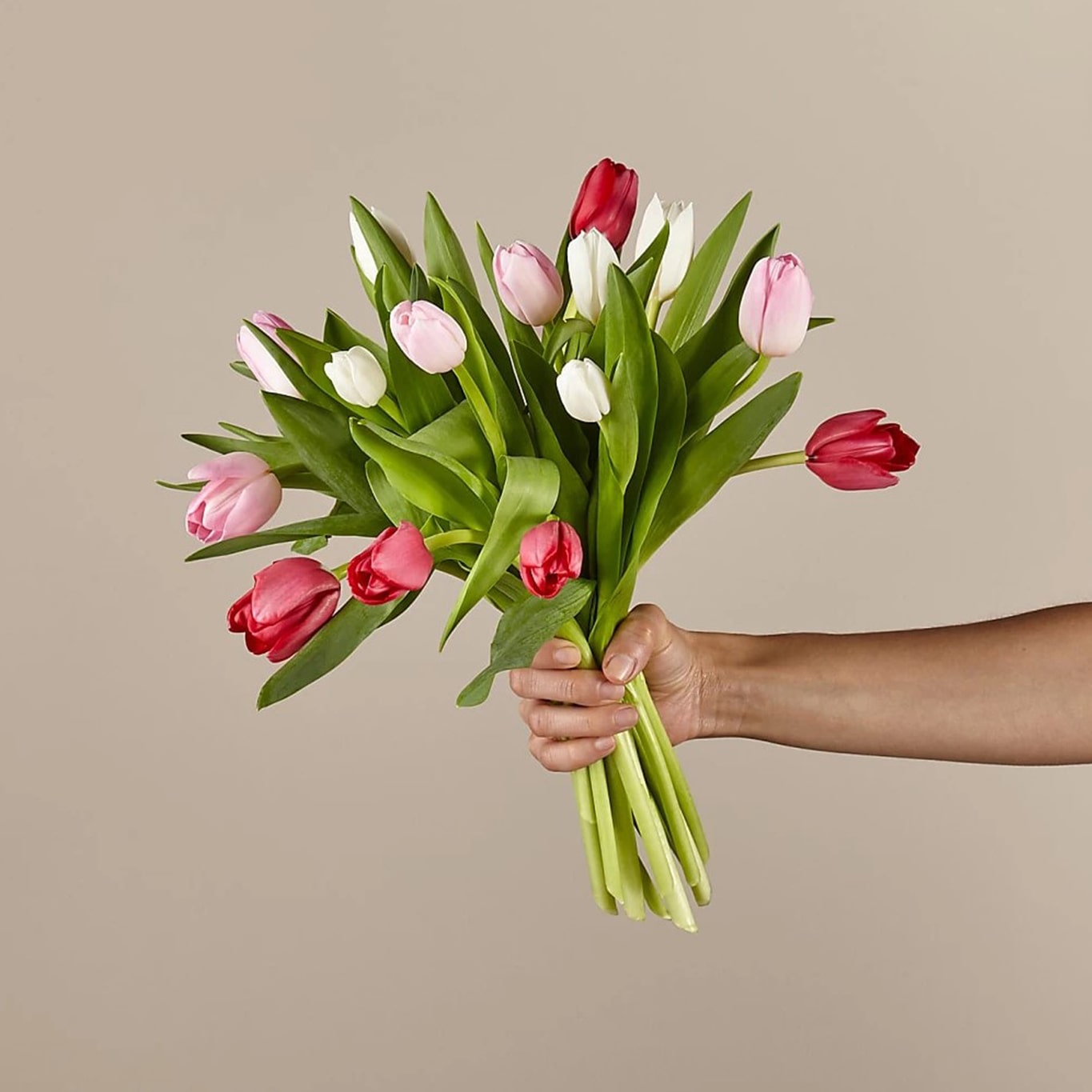 Tulipanes Con Amor ─ Mix Of Tulips, Floristería Orlando FL – Fresh Flowers  Orlando