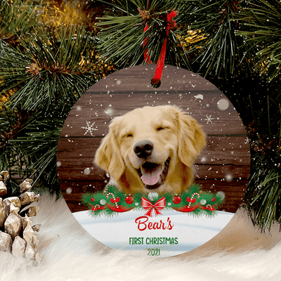 https://cdn.shopify.com/s/files/1/0529/6927/5569/products/geckocustom-dog-cat-christmas-wooden-background-photo-ornament-30422412296369_400x400.png?v=1668417435