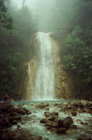 A misty waterfall emerges from a foggy rainforest