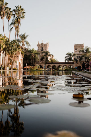 a pond-side scene of Balboa Park with palm trees, lily pads and Spanish building facades