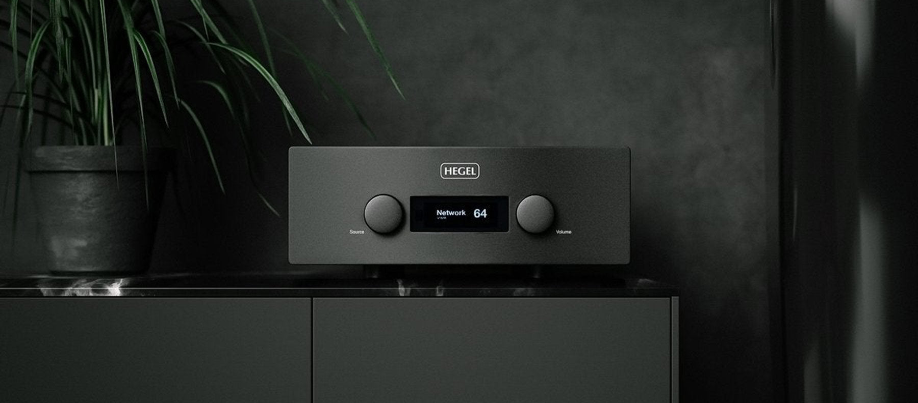 Hegel H590 Amplifier