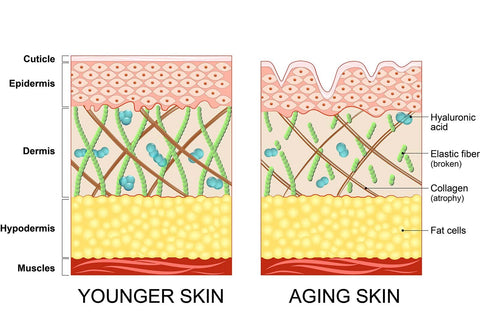 eczema as the skin gets older