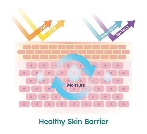 healthy skin barrier