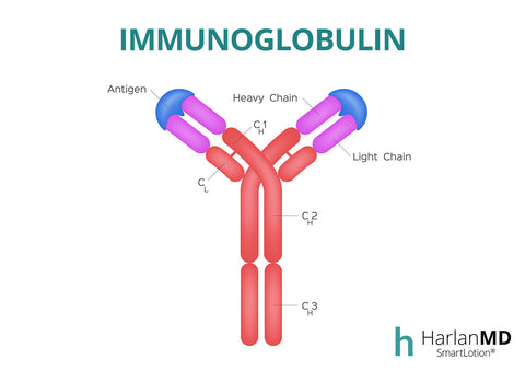 diagram of immuno