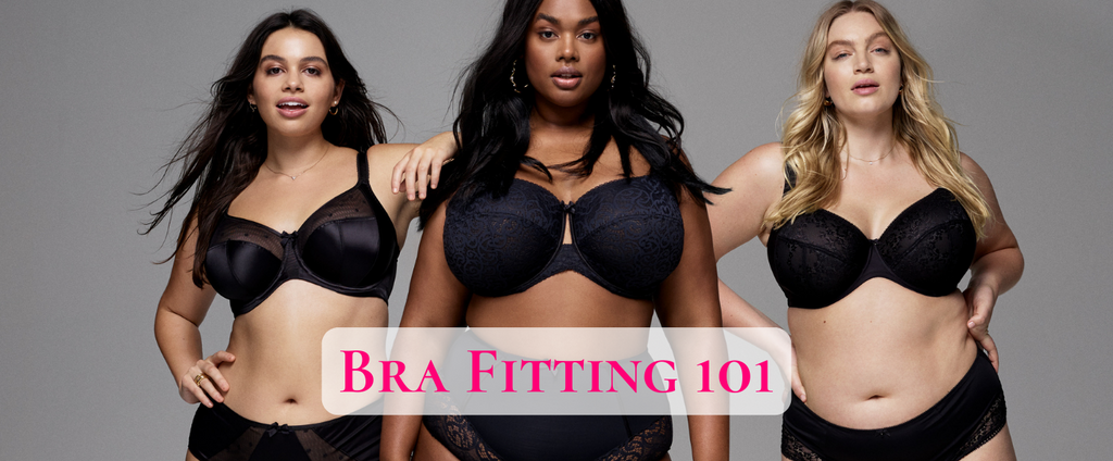 BRA FITTING 101 