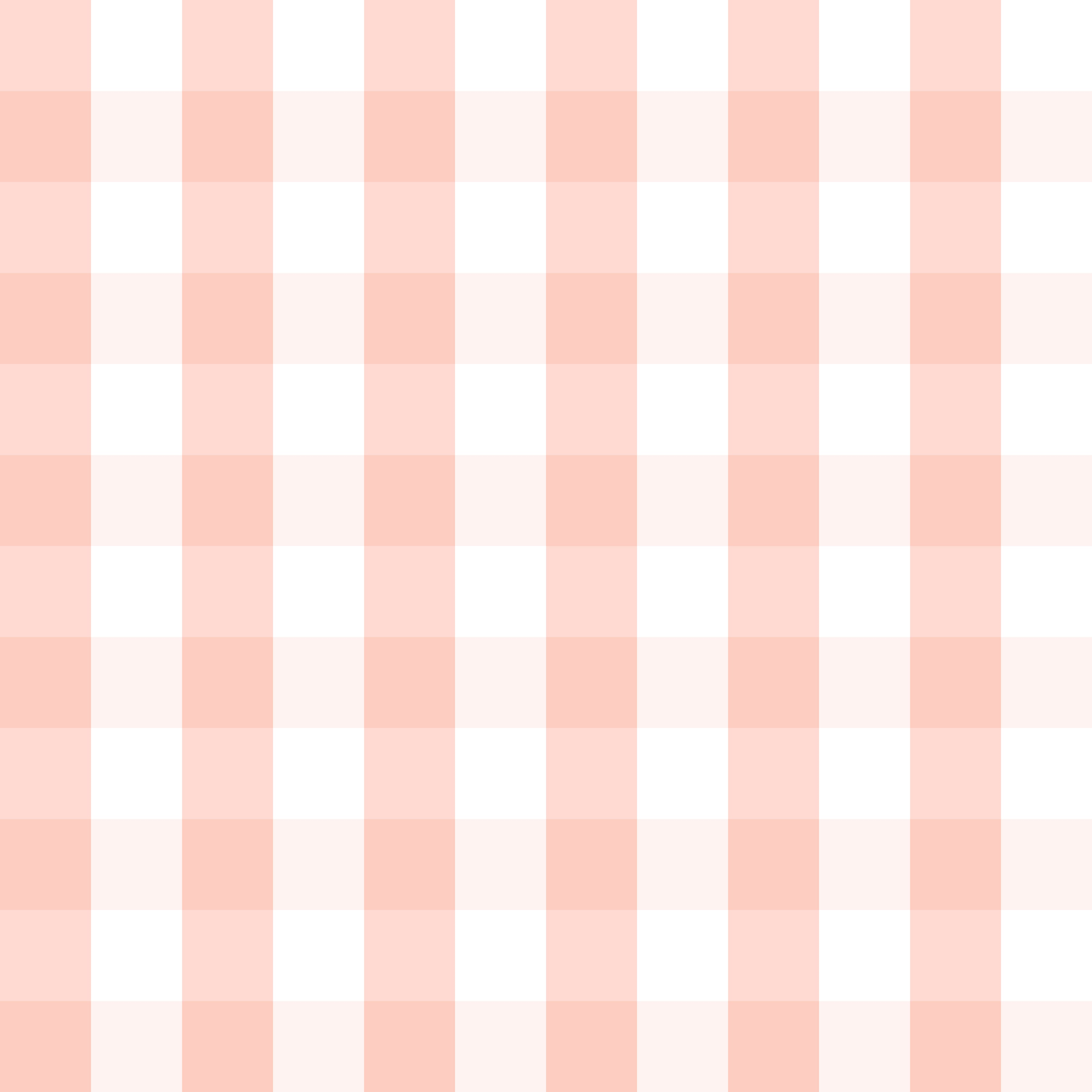 Heart Floral Gingham CS