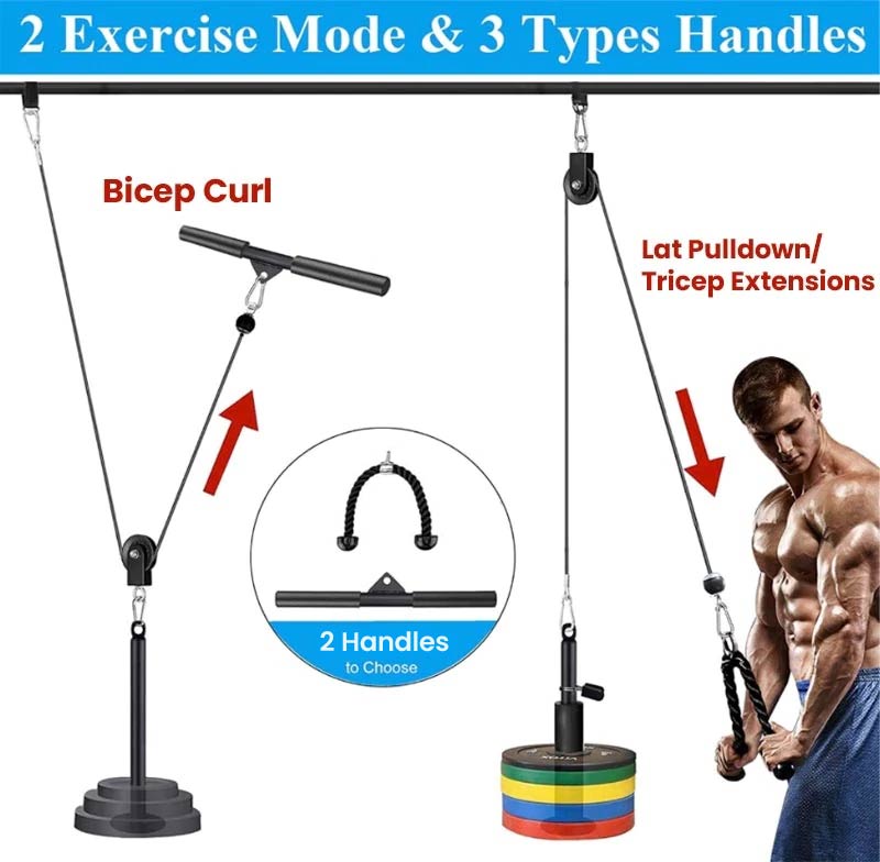 2 Exercise Modes