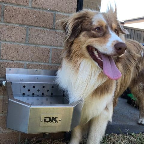 dk stainless water bowl