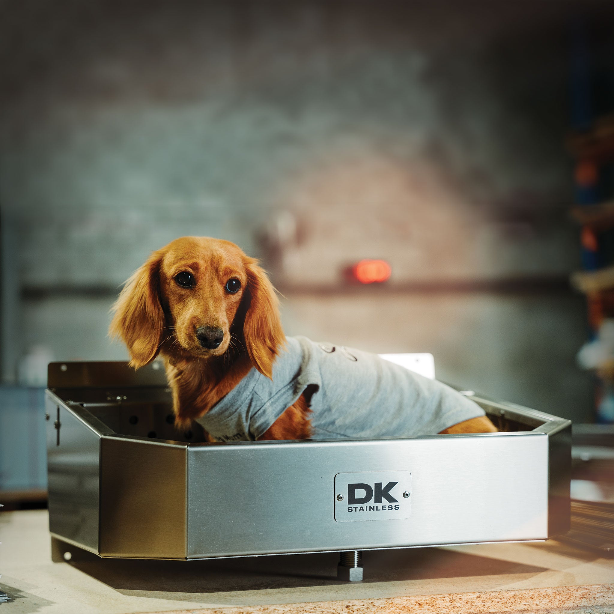 dk stainless water bowl