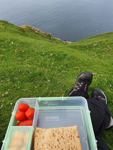 packed lunch, nature, seabirds