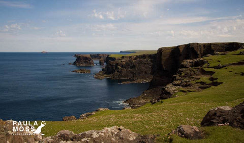 Eshaness, cliffs, Shetland