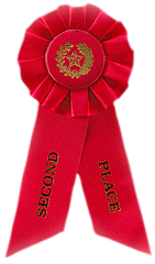 Rosette Ribbons