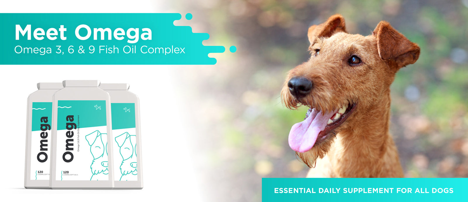 how much omega 3 does a dog need per day