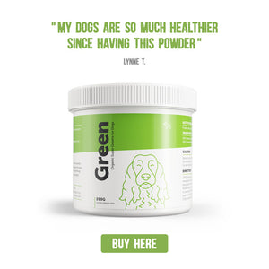 green five super greens supplement dogs