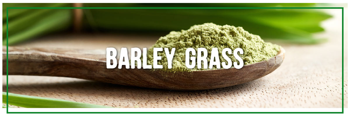 barley grass super greens for dogs