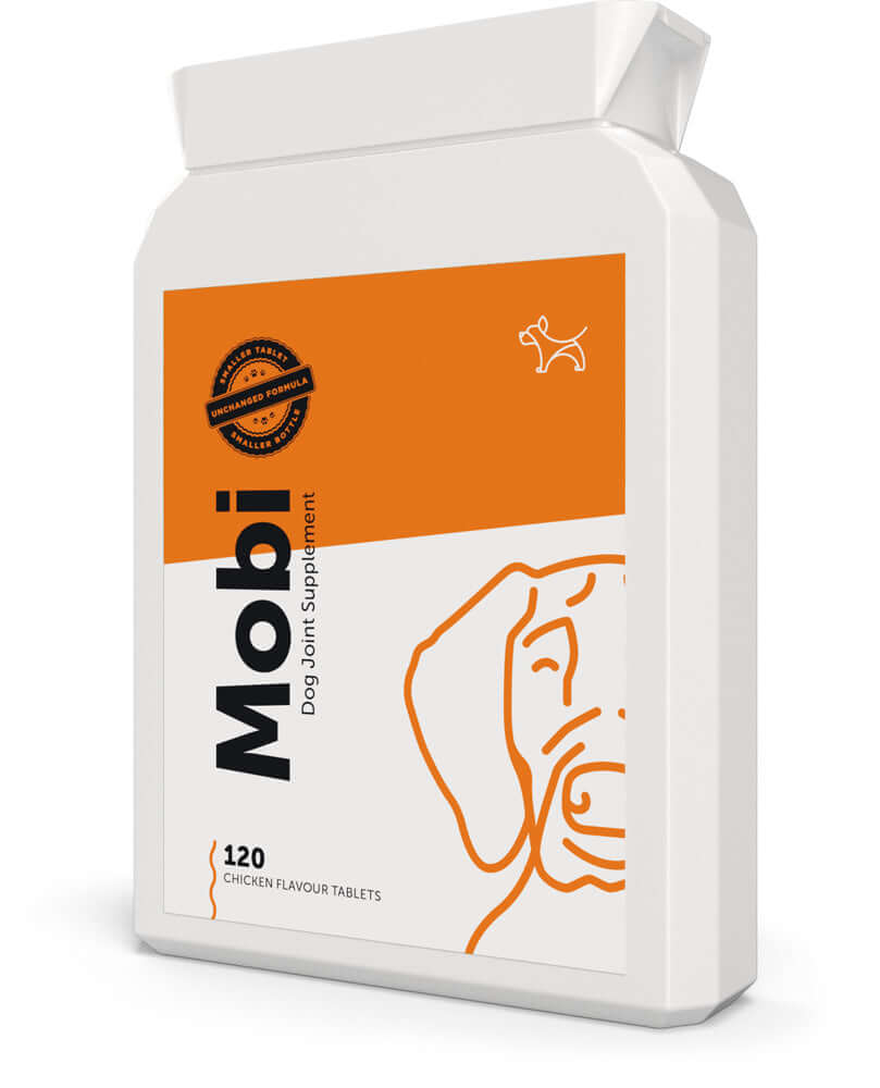 Dog's Lounge Mobi supplement