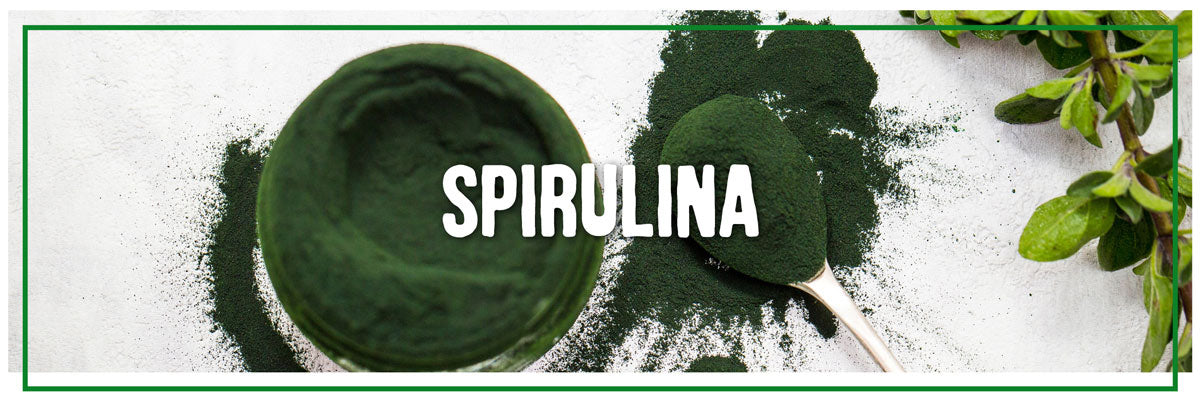 spirulina super green for dogs