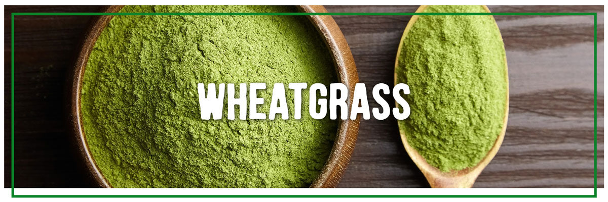wheatgrass super greens for dogs