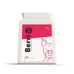 berri bladder and kidney supplement for dogs