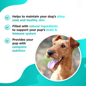 how much fish oil a day for dogs