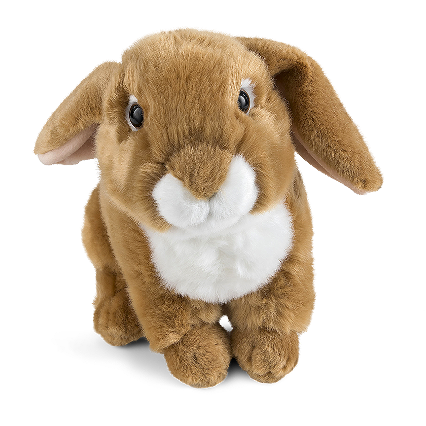 Plush French Lop Eared Rabbit Soft Toy | Eco Friendly Toys