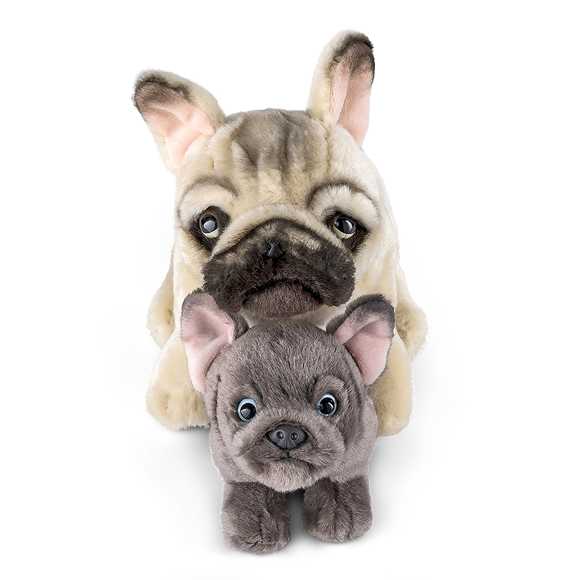 what kind of dog toys does a french bulldog like