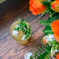 Galgo Gin Grapefruit cocktail Six Barrel Soda
