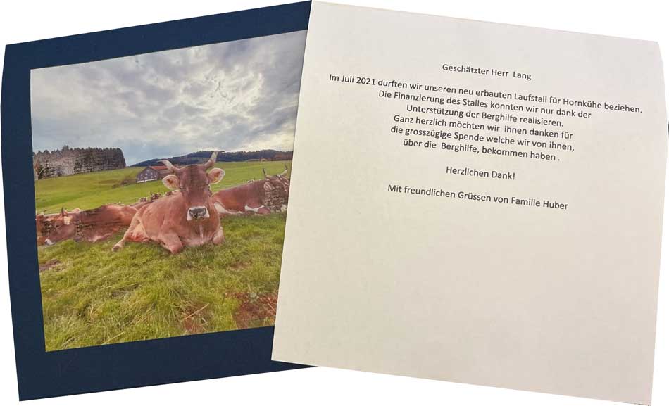 Horned cow thank you letter