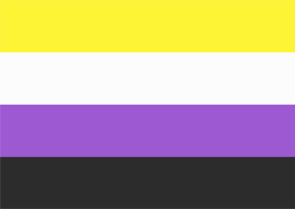 Non-binary Flagge