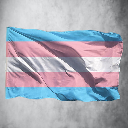 Progress Pride Flagge (90x150 cm) kaufen (inkl. Intersex)