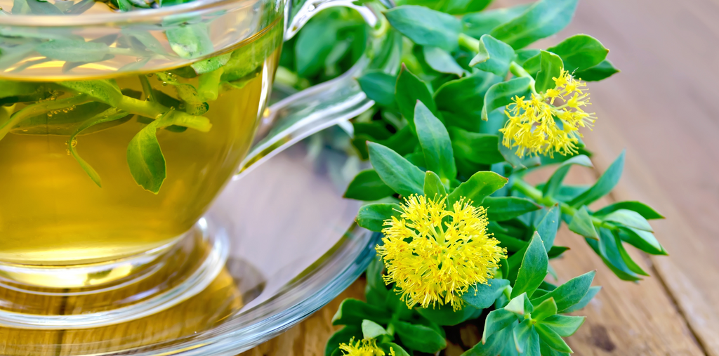 rhodiola rosea and a cup of tea